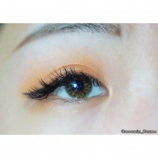 True Fit Brown(年拋)